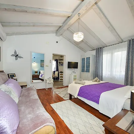 Apartment 2364 Okreti